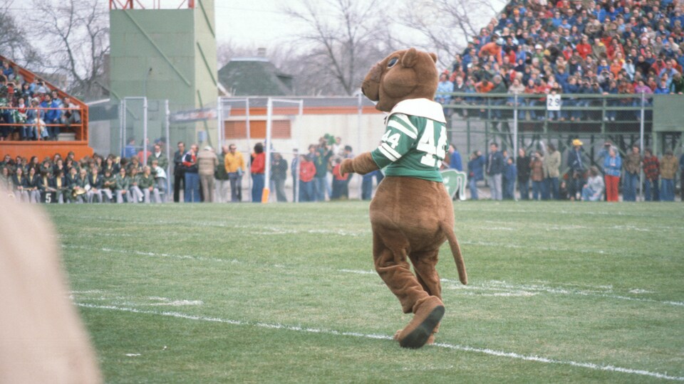 La nouvelle apparence de la mascotte des Roughriders enflamme les