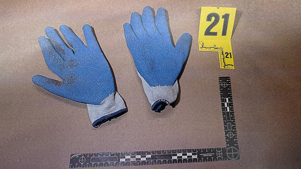 Latex coated gloves stained with a reddish substance.