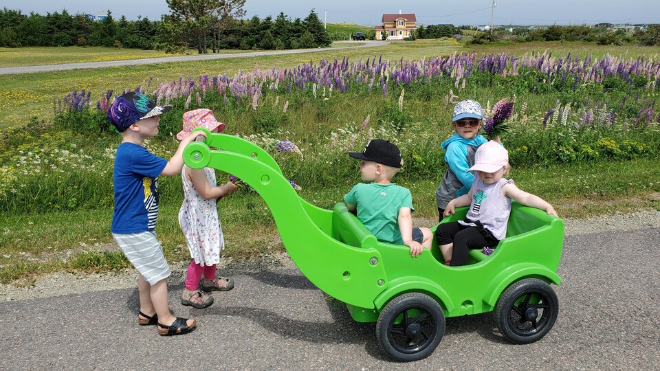 Des enfants prennent une marche avec une chariot vert devant un champ de lupins en fleurs.