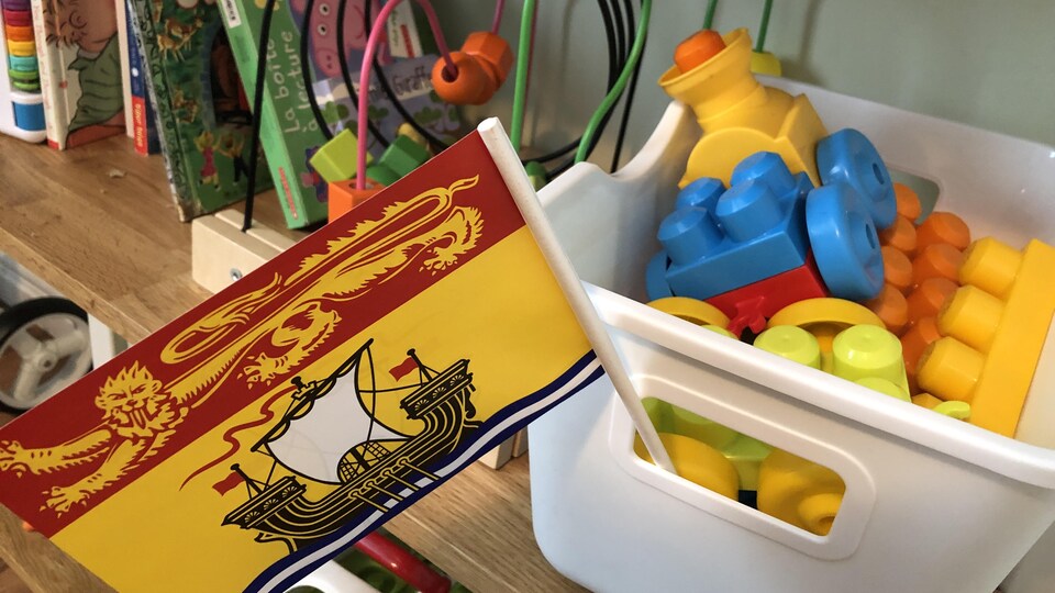 Une photo d'un petit drapeau de la province à côté d'un bac de jouets. 