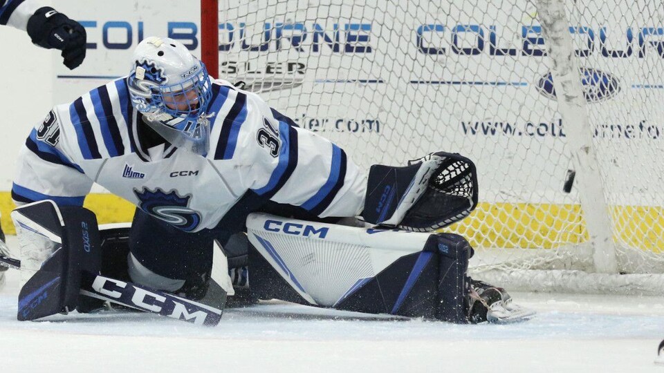 Un gardien de but de hockey.