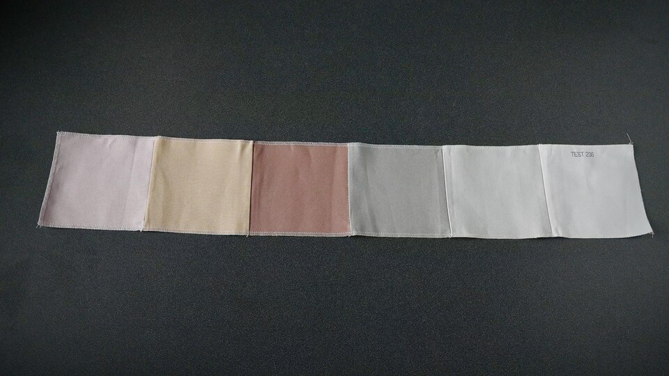 Une bandelette de tissu divisée en carrés imbibés de différentes substances.