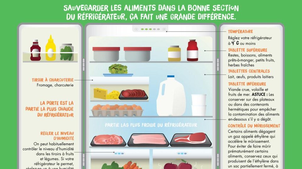 Un dessin présente l'organisation des aliments dans un frigo. 