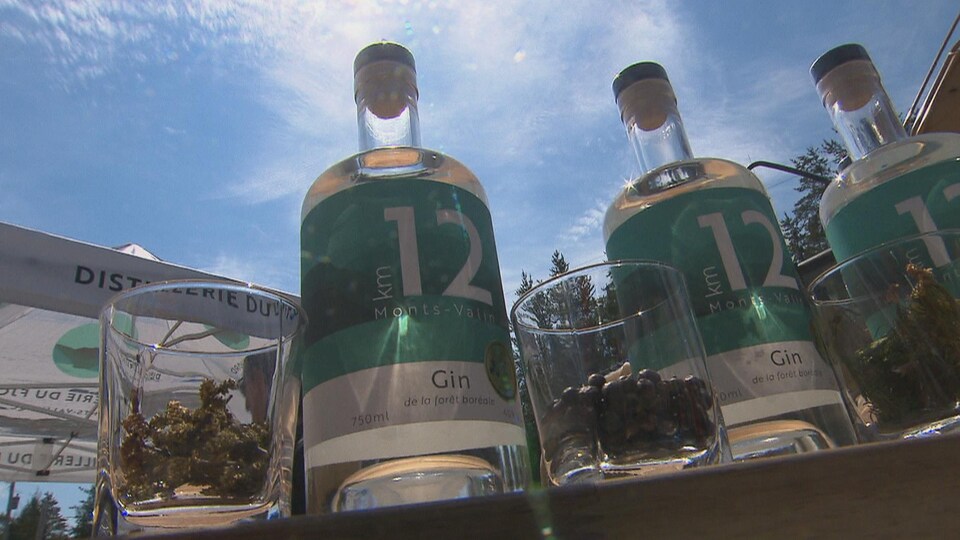 Des bouteilles de gin Km 12