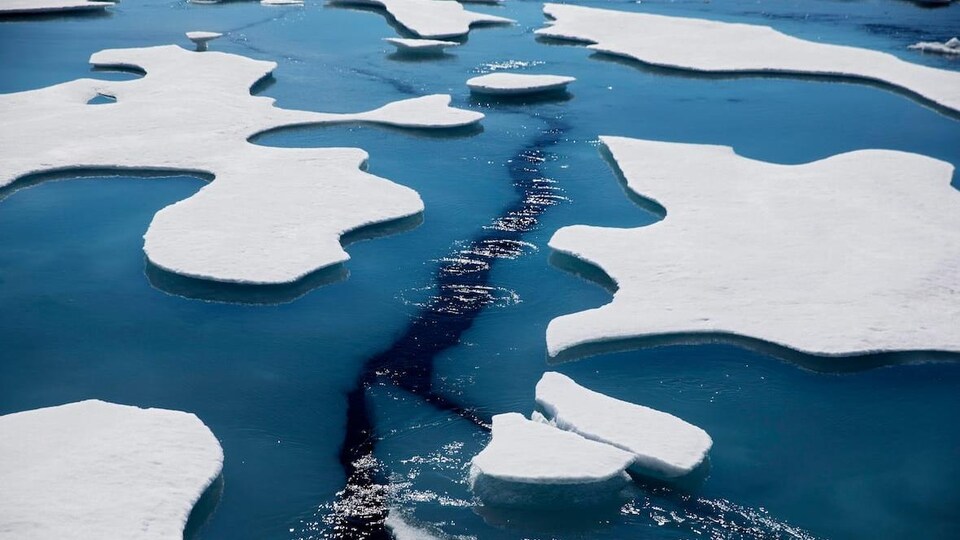 Des glaces qui fondent.