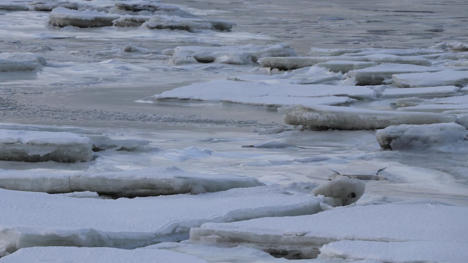 Des glaces sur le fleuve Saint-Laurent pendant l'hiver 2020.