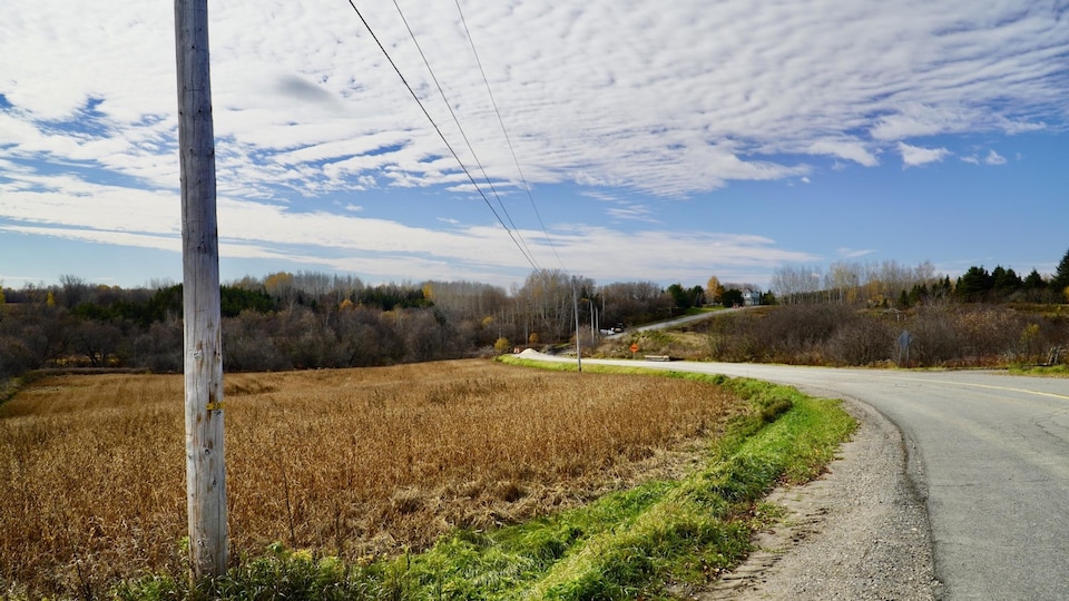 Une route de campagne serpente à travers une colline.