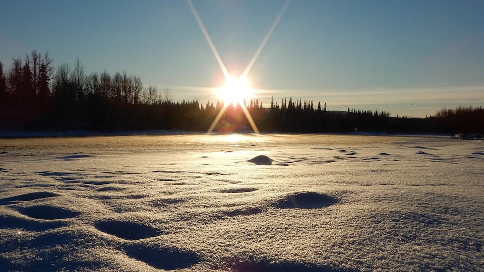 Une plaine enneigée bordée par une forêt dans les environs de Dawson, au Yukon.