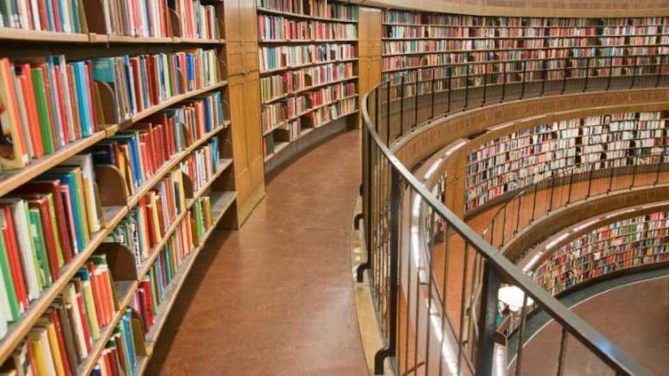 A picture of books in a library stack. 