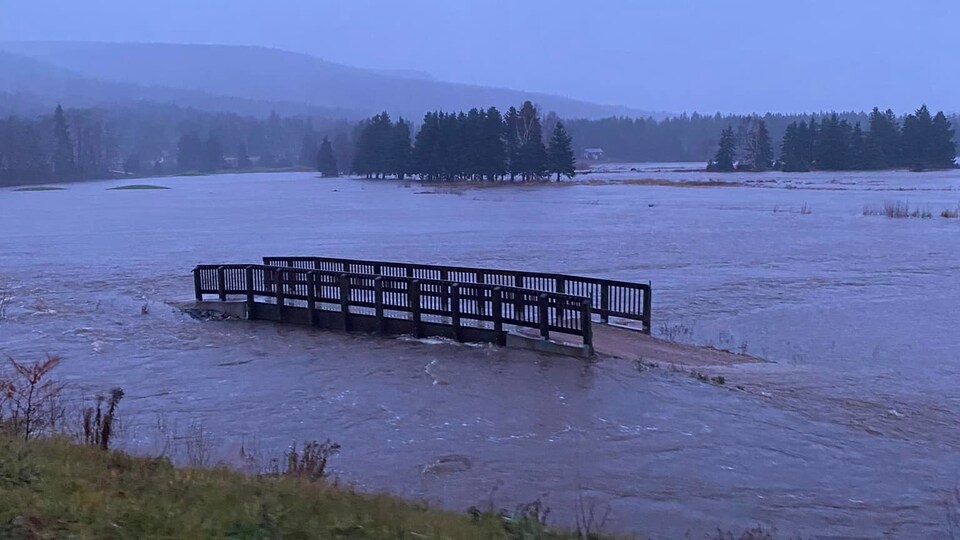 Terrain inondé.