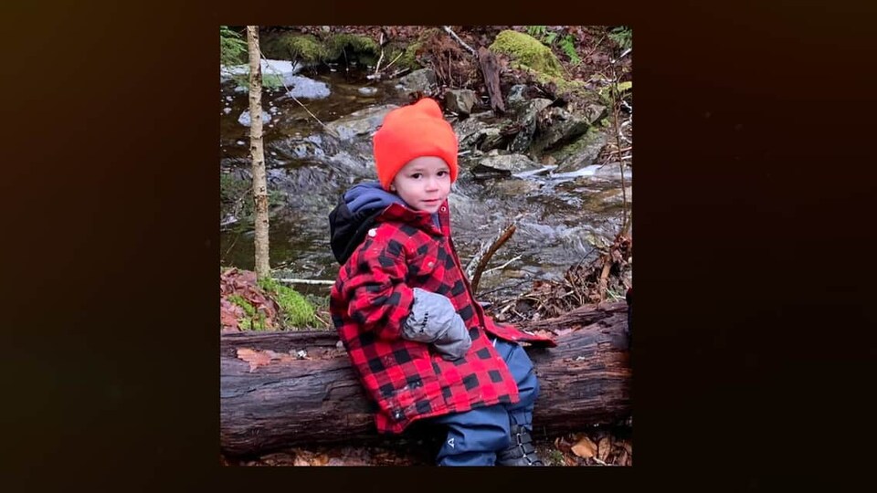 Grady Mackinnon assis sur un tronc d'arbre dans la forêt.