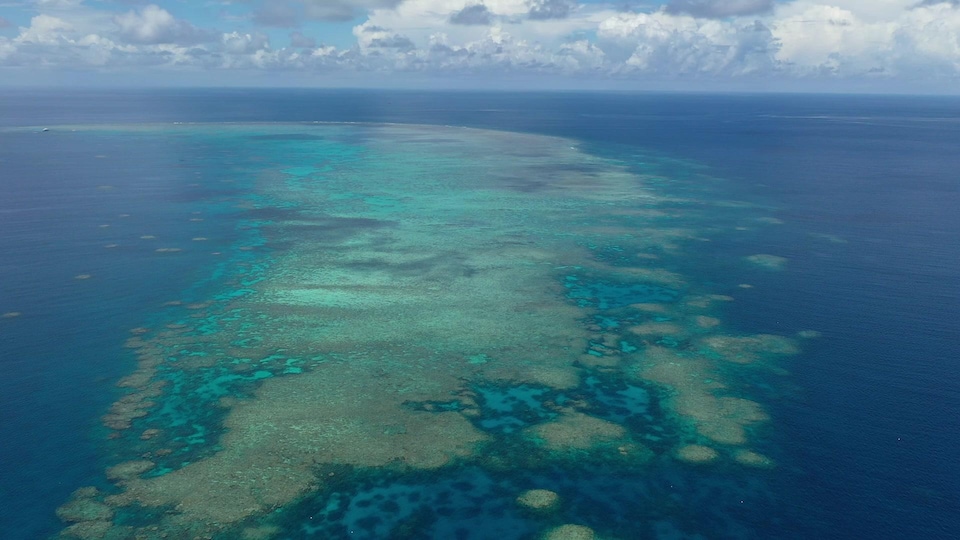 Vue aérienne de la Grande Barrière de corail