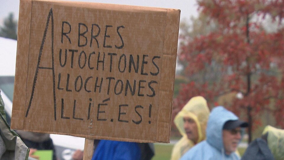Une pancarte intitulée «Arbres autochtones allochtones allié.es».