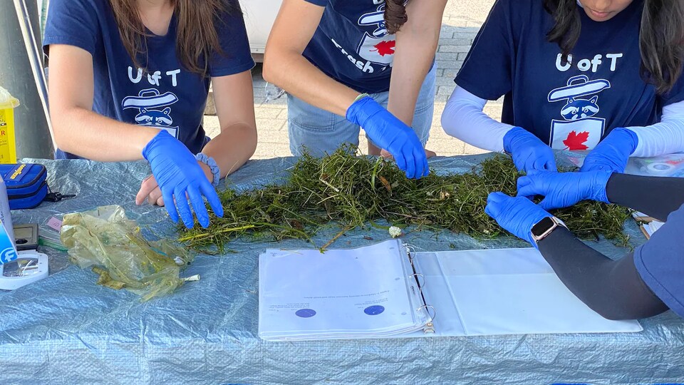 Des déchets trouvés dans le lac sur une table.