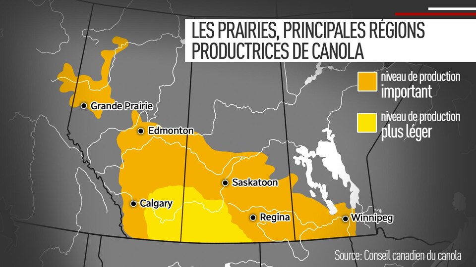 Carte des Prairies, principales régions productrices de canola.