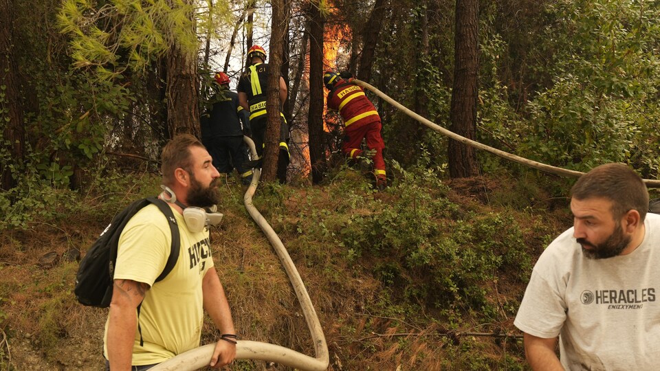 Des pompiers tentent d'éteindre un incendie dans une forêt.