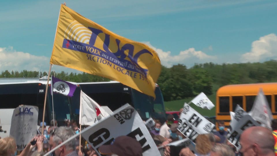 The striking workers are holding union symbols and flags in the air. 