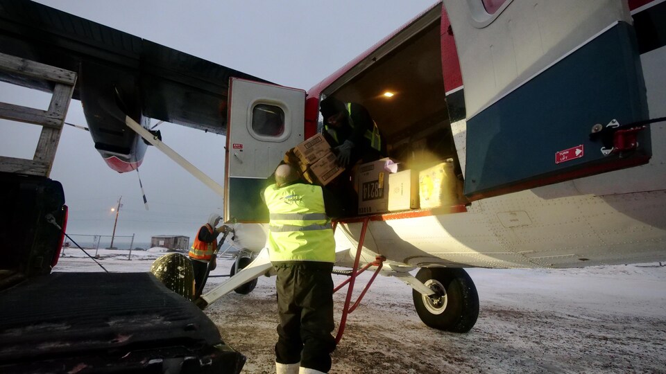 Des employés sortent des cargaisons d'un avion.