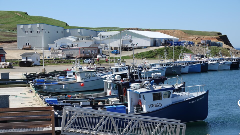L'usine de Grosse-Île et quelques bateaux arrimés au quai. 