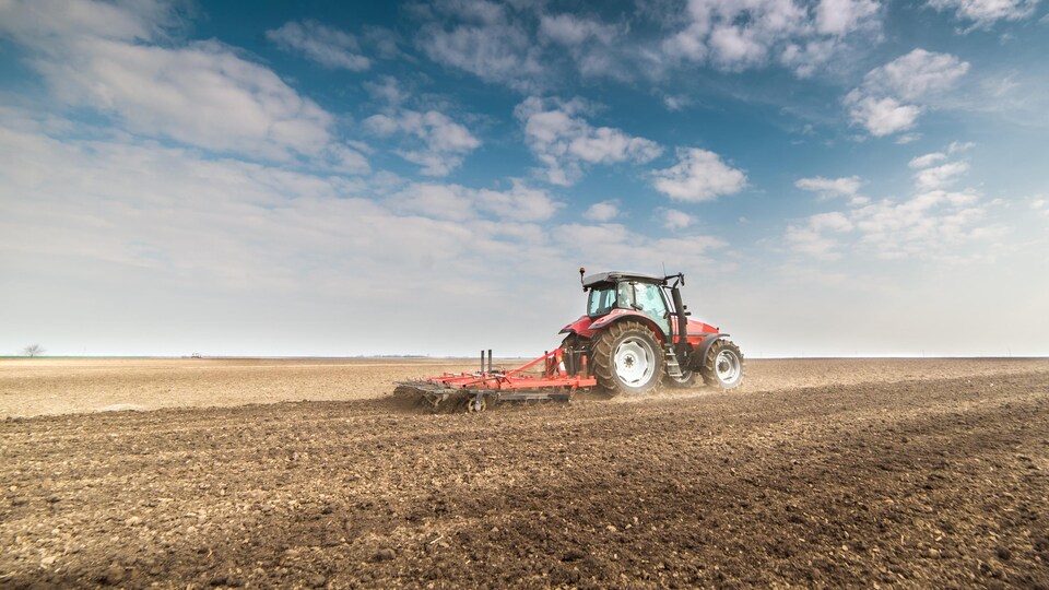 Un tracteur dans un champ.