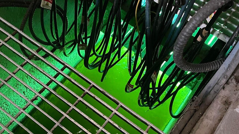 Une photo des eaux usées dans une usine de la région de Regina.