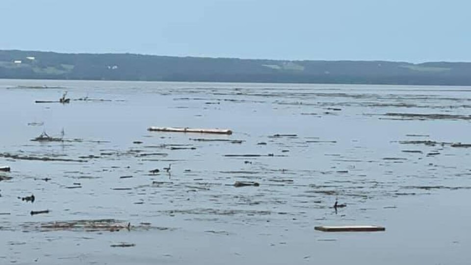 Des morceaux de bois flottent à la surface du lac.