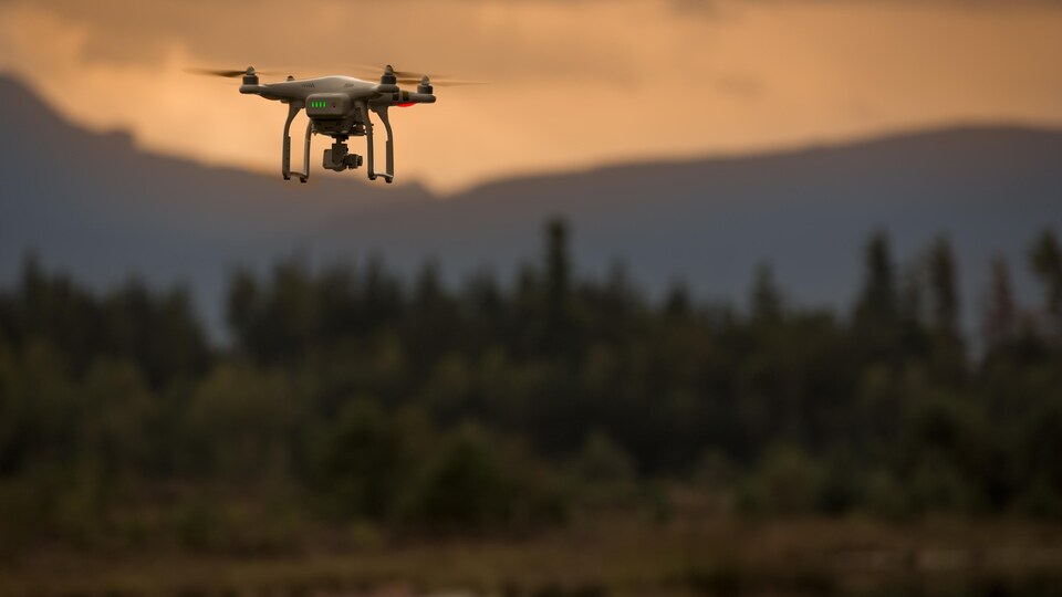 Un drone en forêt.