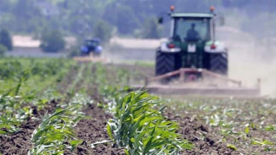 Un tracteur dans un champ de céréales.