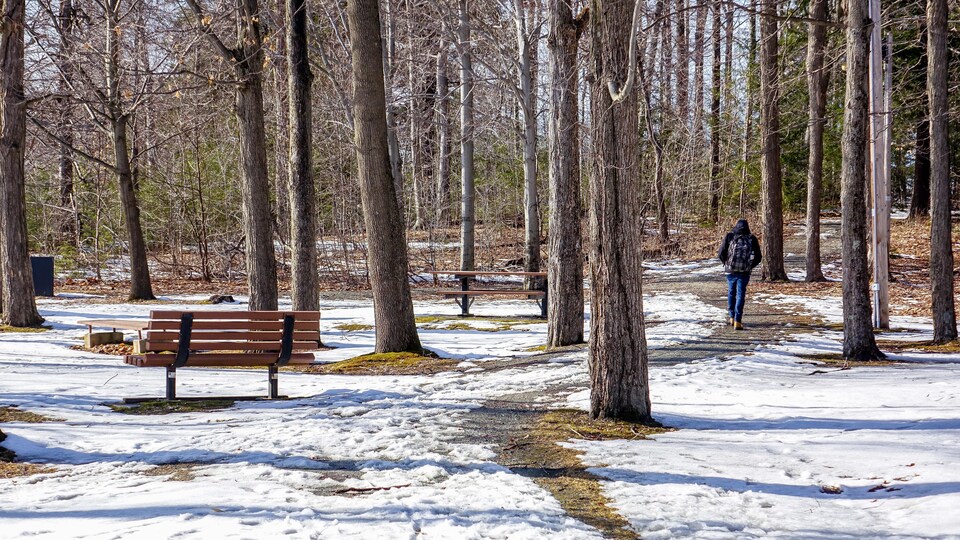 Vue de dos d'une personne qui marche dans un sentier libéré de la neige dans le parc Victoria à Sherbrooke