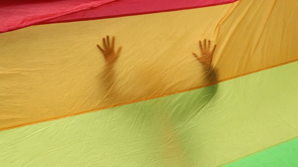 Une silhouette se dessine dans un immense drapeau arc-en-ciel.