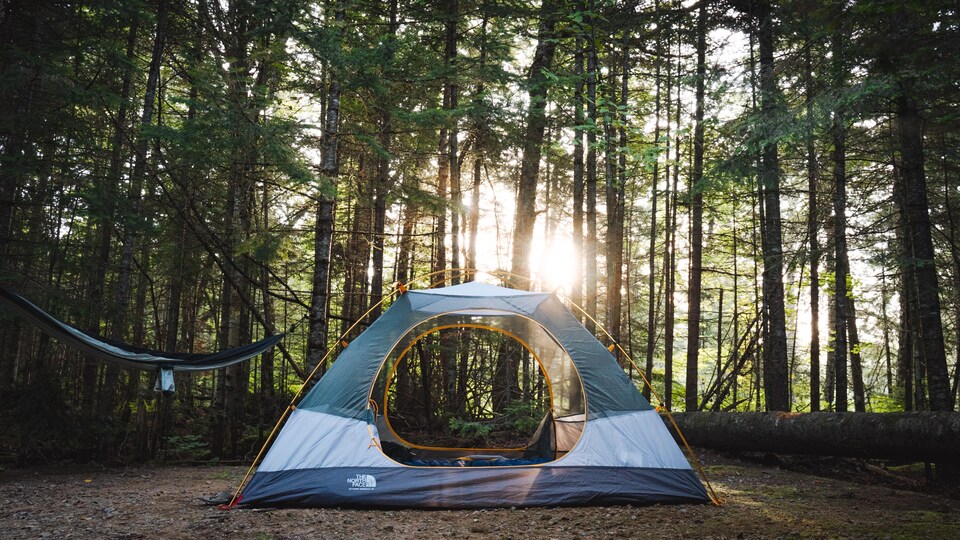 Une tente au milieu d'une forêt.
