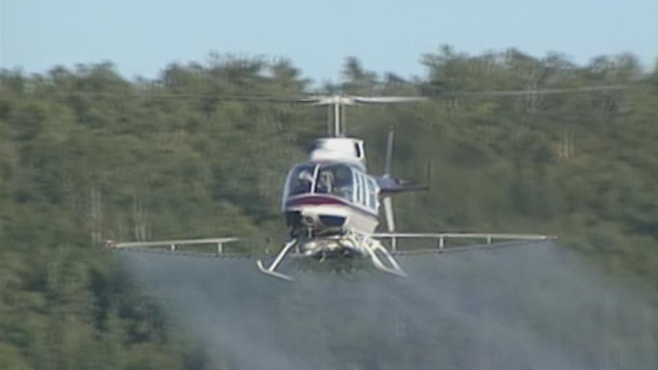 Un hélicoptère qui épand des herbicides
