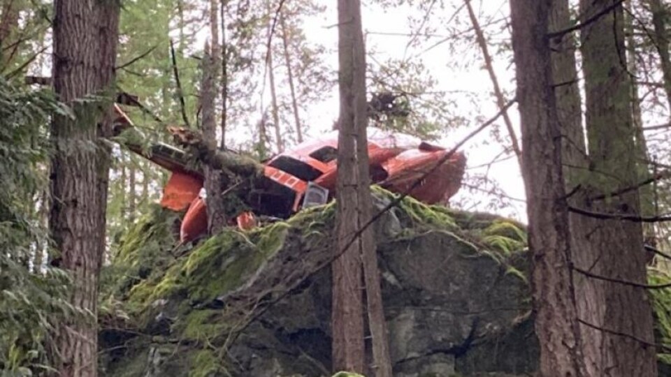 Une carcasse d'hélicoptère dans les bois.
