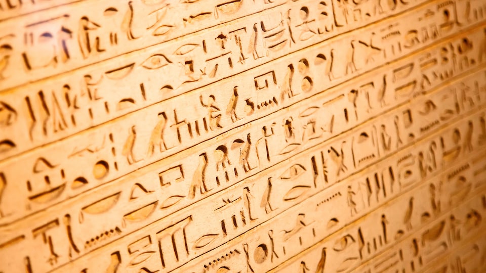 Des hiéroglypes sculptés à même un mur.