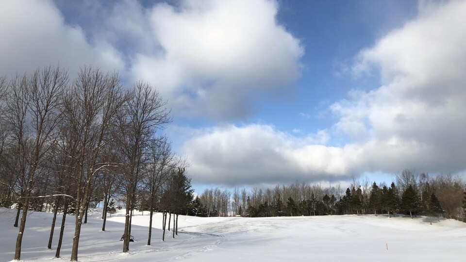 Des arbres bordant une étendue de neige. Un ciel bleu et nuageux.