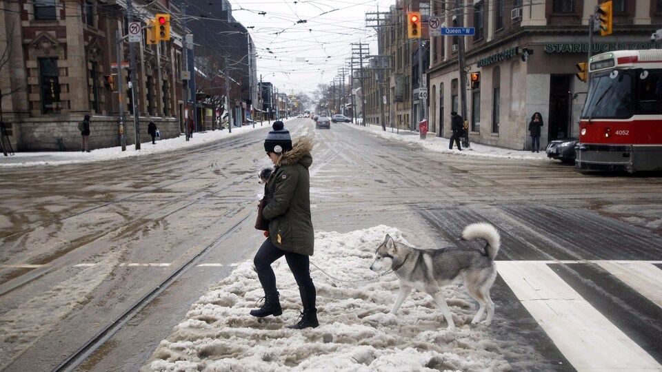 Une femme traverse une rue enneigée avec ses deux chiens.