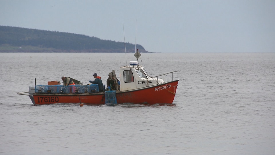 On voit un bateau avec trois hommes à bord. Ils pêchent le homard. Des casiers se trouvent dans le bateau.