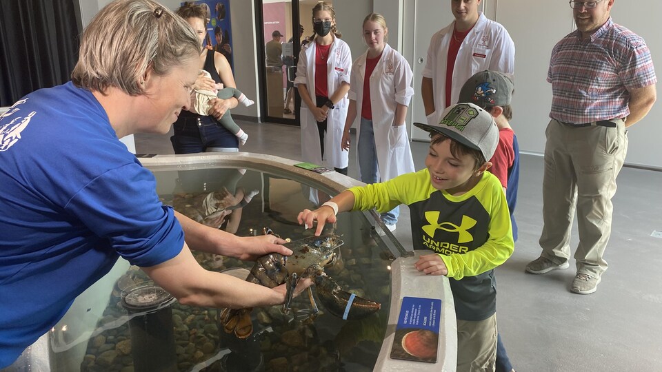 Un enfant pose un doigt sur la tête d'un homard que lui tend une biologiste du centre d'interprétation.
