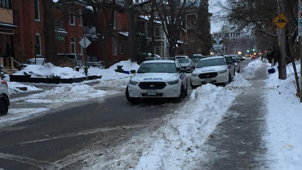 Deux voitures de la police d'Ottawa rue McLeod.