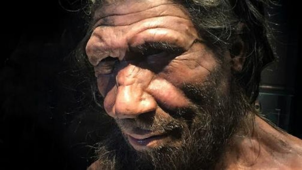 Gros plan sur le visage d'un Néandertalien.