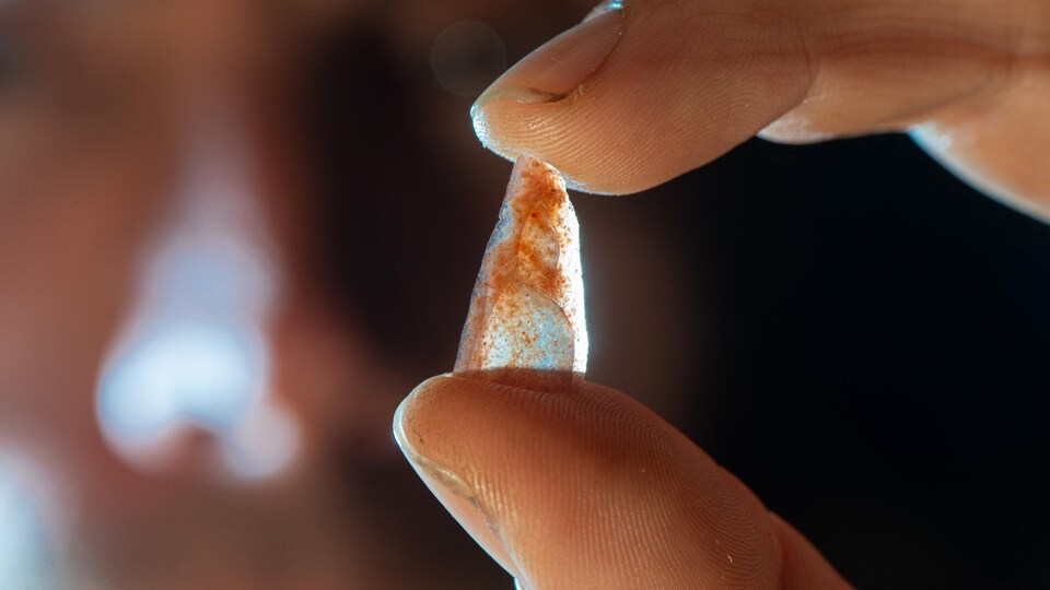 Un homme tient entre ses doigts une minuscule pointe néronienne trouvée dans la Grotte Mandrin.