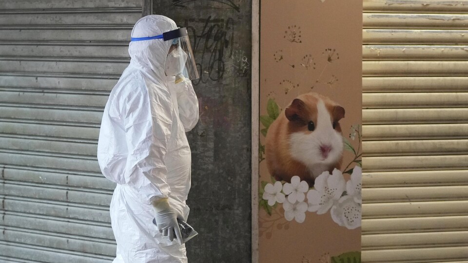Un homme en habit de protection marche près de l'animalerie.