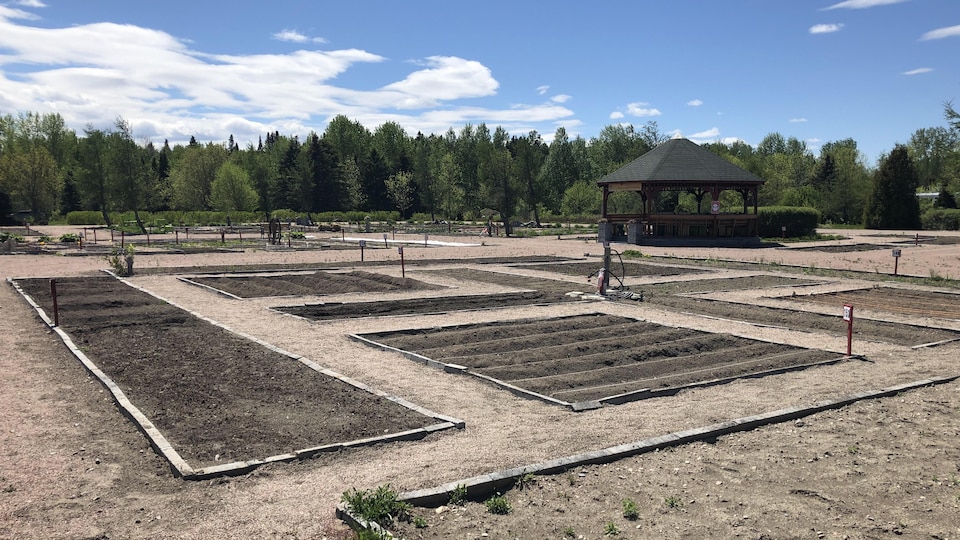 Plusieurs parcelles du jardin communautaire.