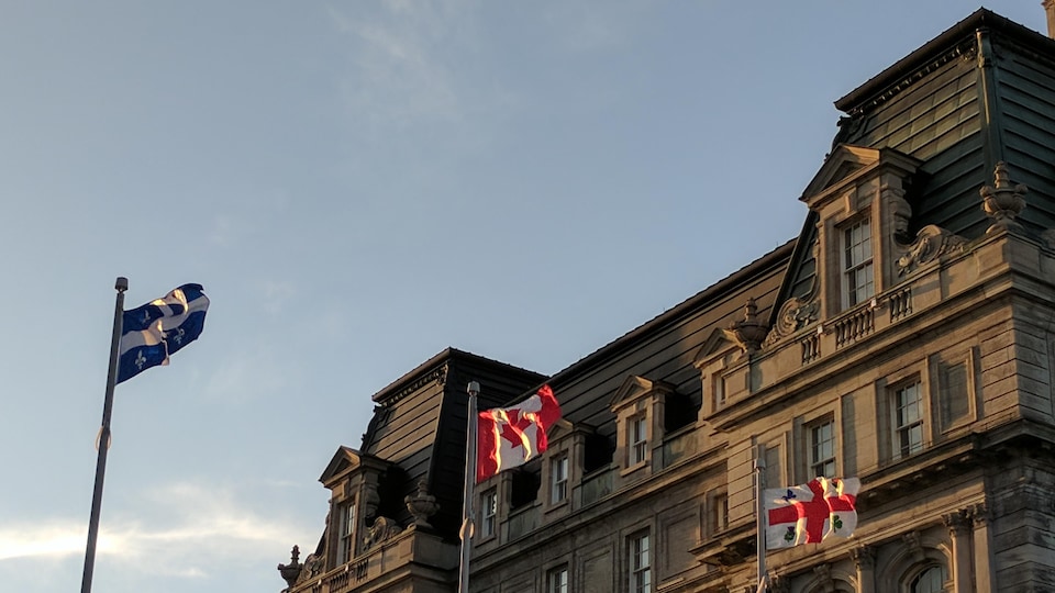 Les drapeaux du Québec, du Canada et de la Ville de Montréal flottent près de l'hôtel de ville de la métropole québécoise.