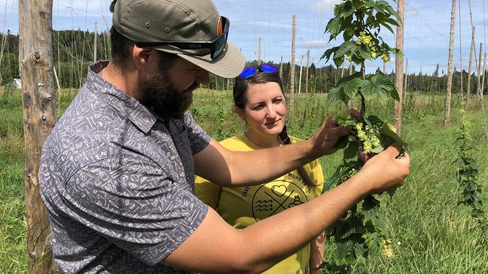 Steve Berthiaume et Karyne Lapierre devant un plant de houblon.
