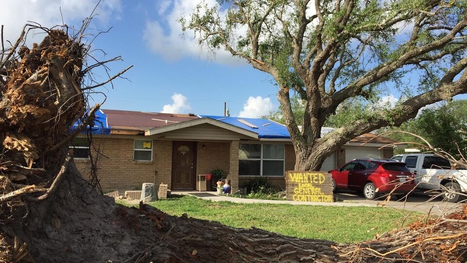 Une souche d'arbre arraché devant une maison endommagée par l'ouragan