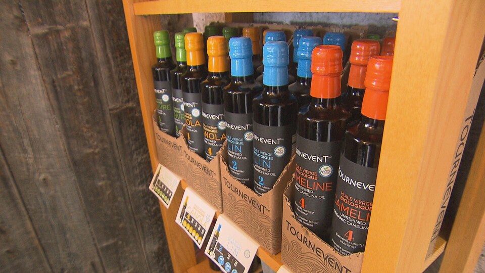 Des bouteilles d'huile d'olive dans un présentoir