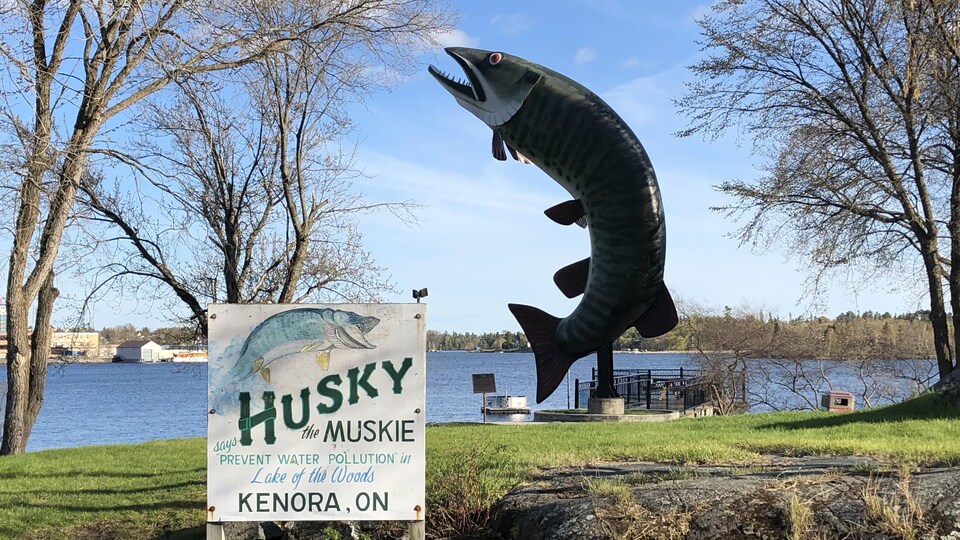 Une sculpture de poisson sur le bord d'un lac.