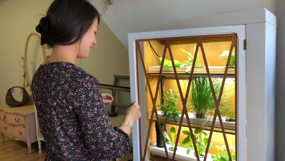 Une femme regarde un meuble dans lequel pousse des plantes