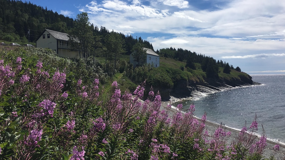 Vue de la maison Hyman au Parc national Forillon et paysage.